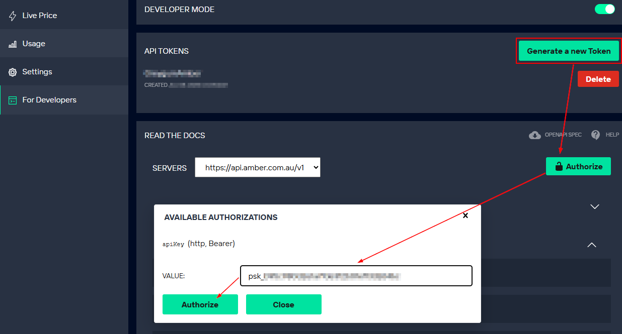 Amber API Key/Token
